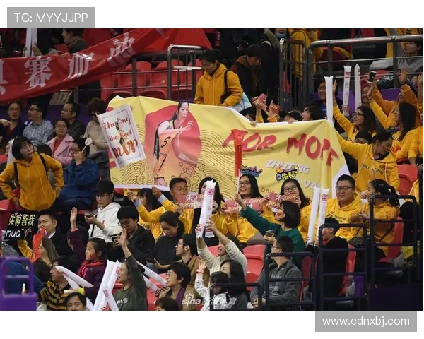 安芬尼赞绿军主场球迷热情享受在这座球馆的比赛氛围