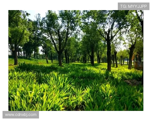德科祝贺阿尔巴职业生涯圆满结束期待他未来的辉煌成就